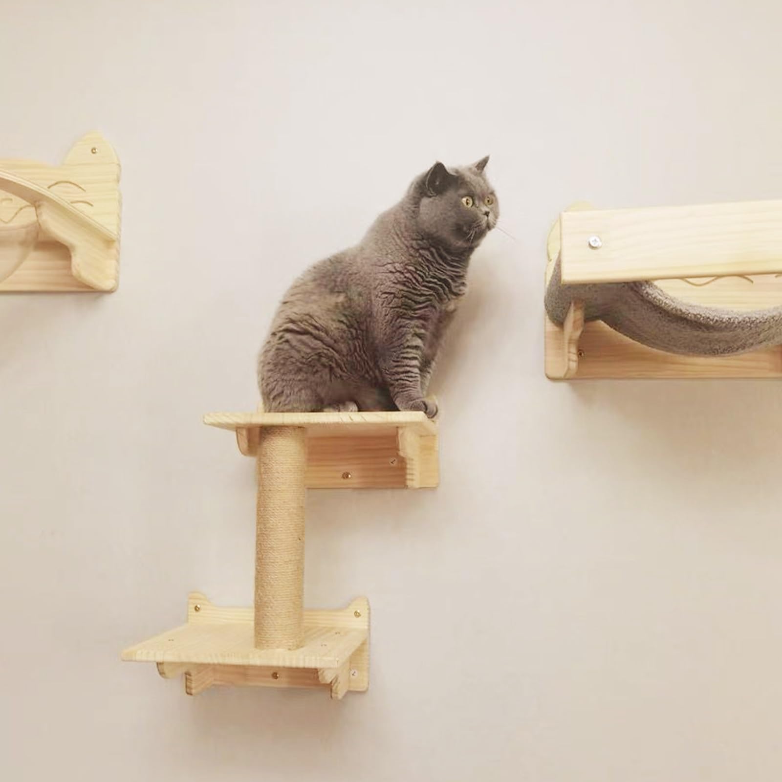 Tiragraffi per Gatti, Mensole per Gatti da Parete, Amaca per Gatto, per Dormire, Giocare, Arrampicarsi, Fare Un Pisolino, Guardare Oltre(10pcs)