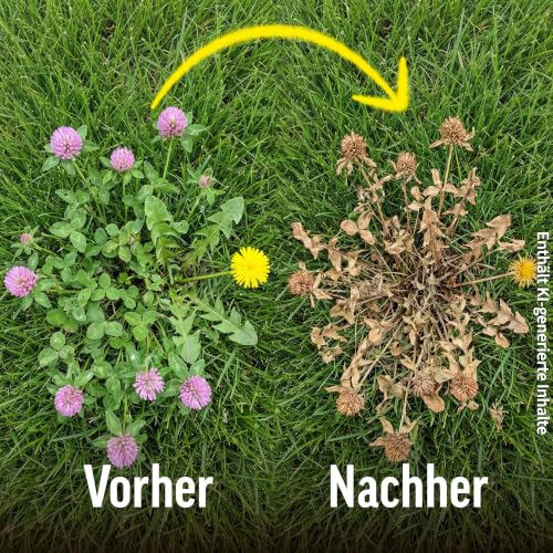 Roundup Rasen-Unkrautfrei 250 ml Konzentrat gegen Rasenunkräuter im Rasen – Ansicht 4