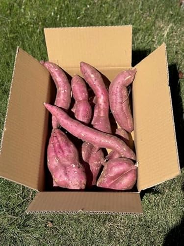 󂠂Tc}Cyׂɂ͂邩z 5kgi`sj