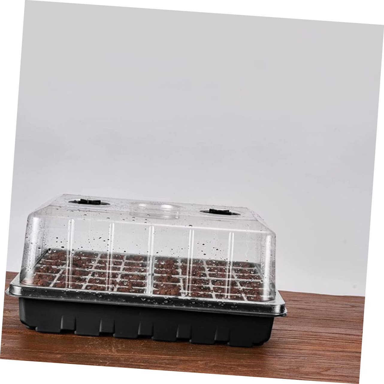 Toddmomy Boîte de Germination Multi-Trous en PP, 1 Set, Semis et Bouturage