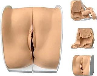 Female Contraceptive Guidance Model Anatomical Genital Gynecological Genital Gynecological Cervical Vagina Vagina Gynecological and Reproductive Examination Convenient Convenient Assembly