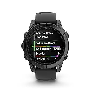 Garmin fnix E 47 mm, AMOLED, Premium Multisport GPS Smartwatch, Long-Lasting Battery Life, Slate Gray Steel with Black Band