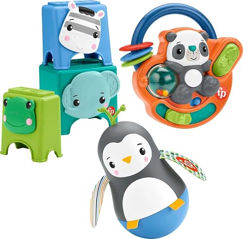 Coffret Je Découvre Mes Mains Fisher-Price