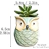 Product Photo 6