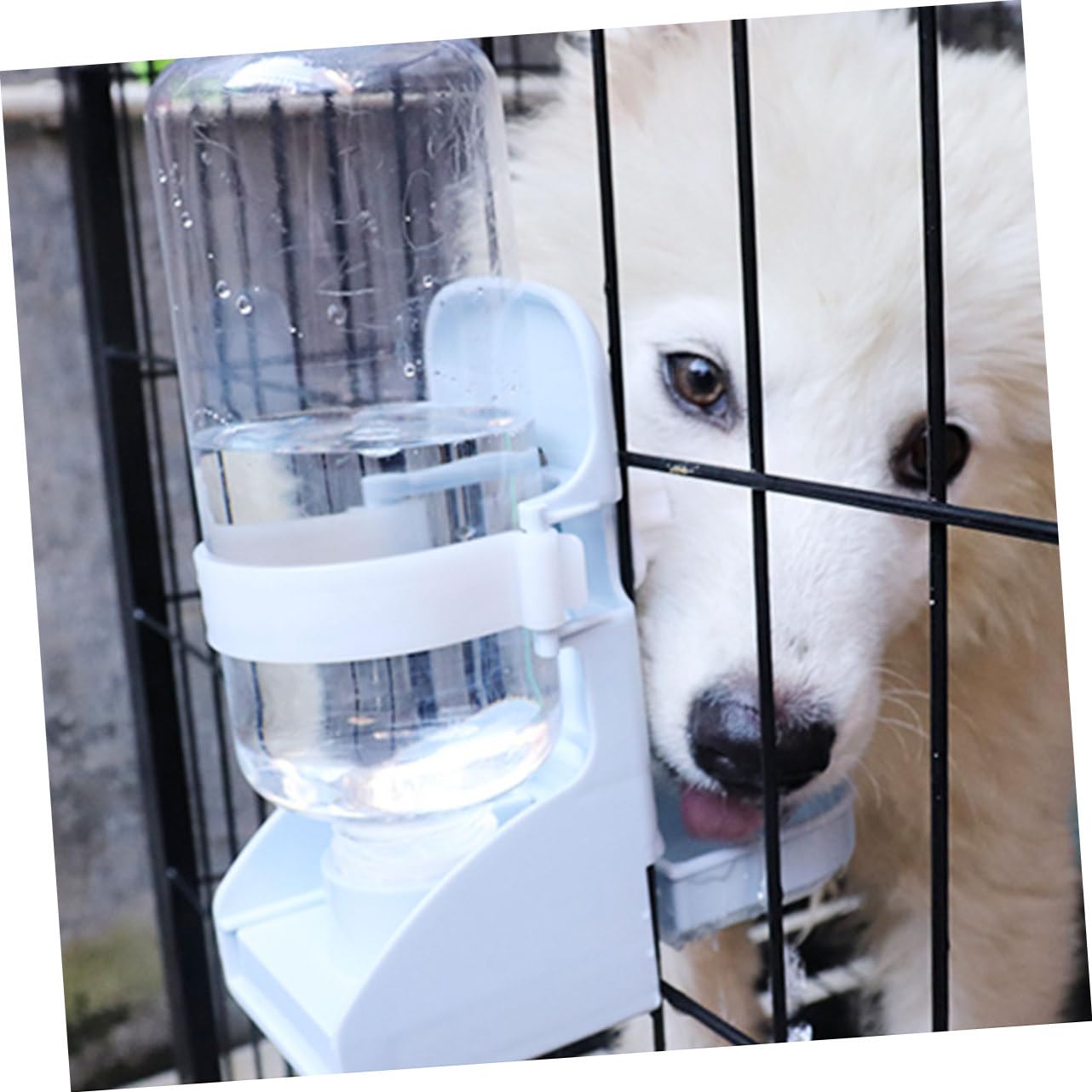 Haustier Aufzuchtflasche 10ml - Glas Mit Silikon Sauger Für Hamster & Kleintiere