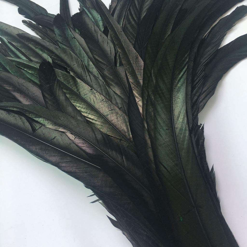 shekyeon 12-14inch Rooster Tail Feather Use for Hats Costume Decoration Pack of 50 (black) - Image 3