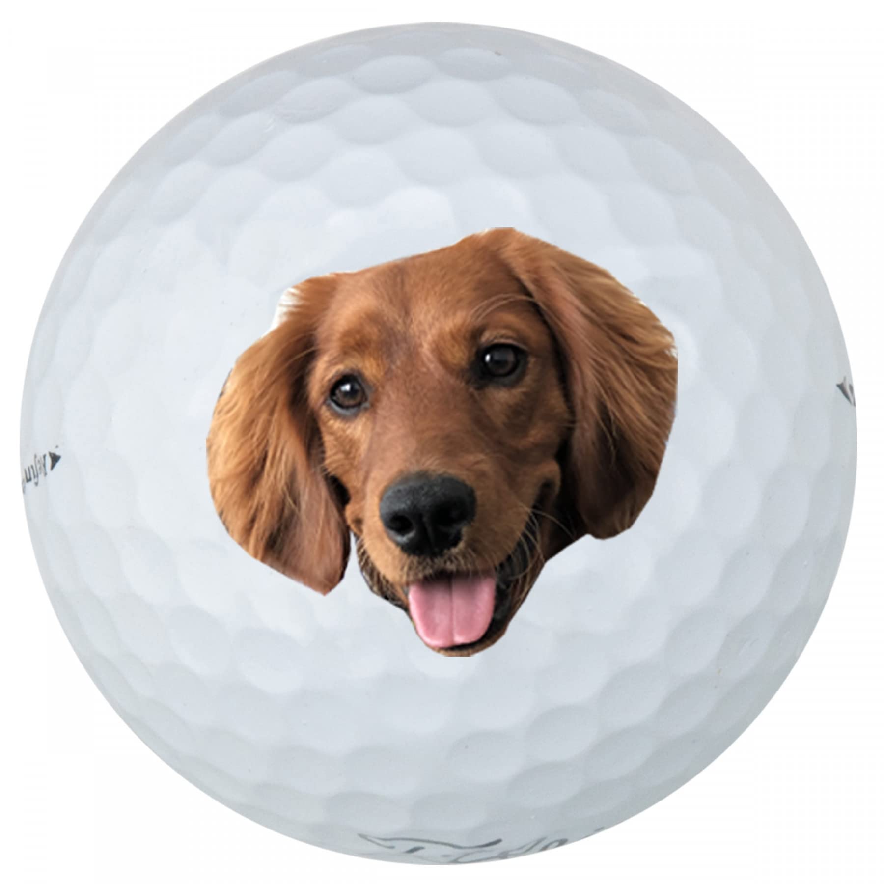 Pack of 3 Personalized Golf Balls - Customize with Name, Logo, Image, Monogram and More - Comes on Brand Name Balls and Mesh Carrying Bag. Great Gift