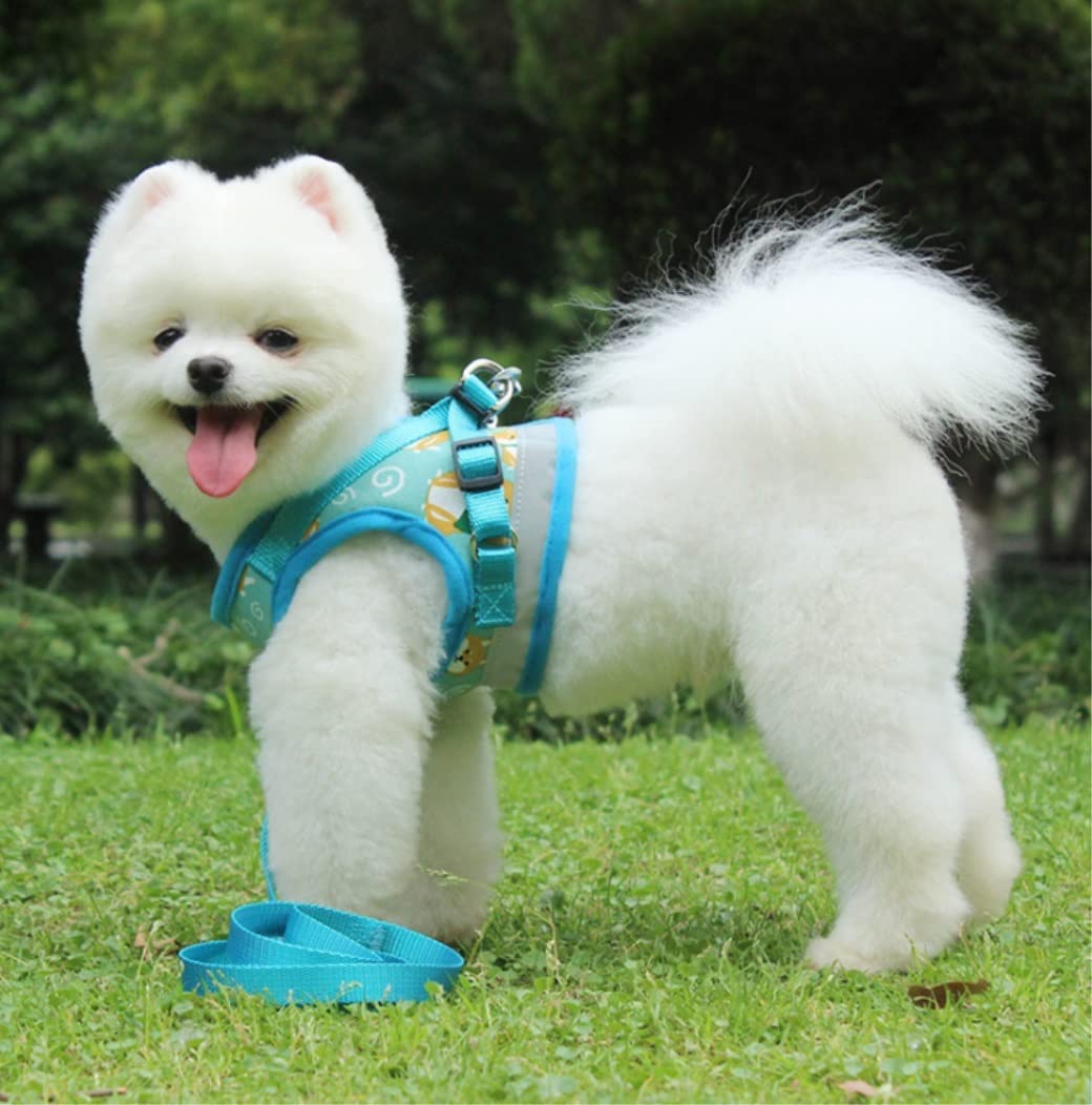 Correa Perro Correr Chaleco con Correa para El Pecho Cuerda De Tracción Reflectante para Mascotas Caminar Pequeño Y Collar para Perros Arnés Correas Plomo Antideslizantes Reforzada(Blue,24-27cm)
