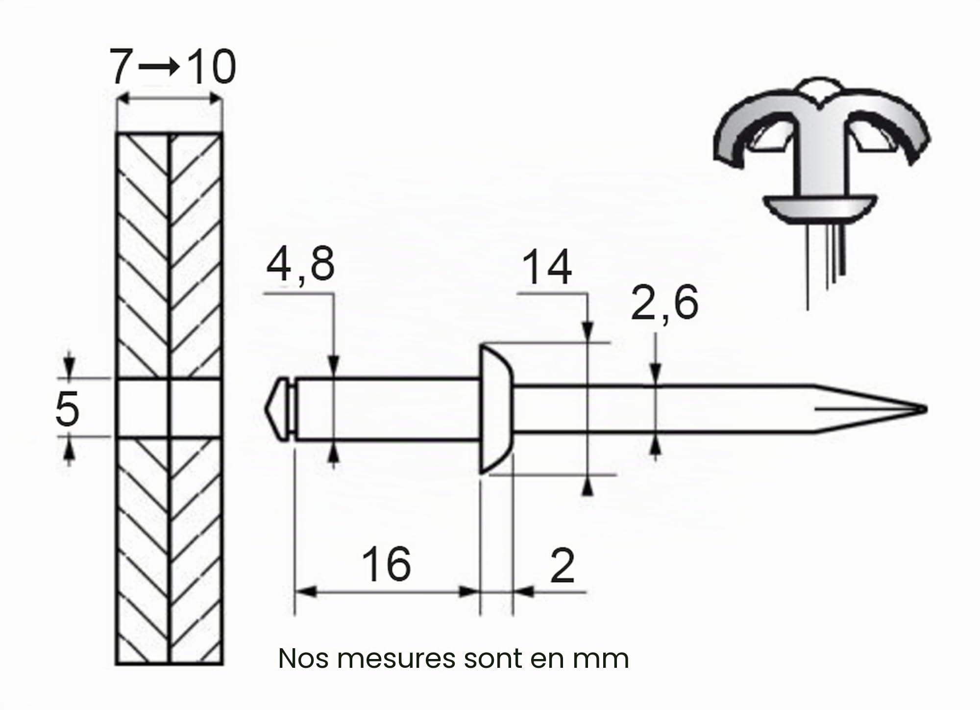 Restagraf - Rivets Épanouis Noirs pour Plaques d'Immatriculation - Diamètre 4,8 mm - Fixation Durable sur Carrosserie ou Support Plastique - Réf. 4916 - Boîte de 250
