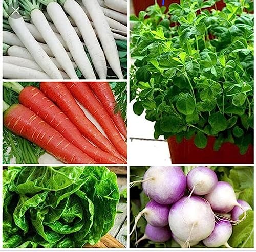 Image of Zinc EDTA Chelated 12% (500g), Zinc Fertilizer for Plants.