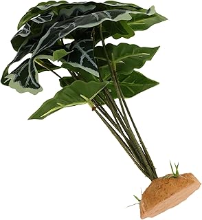 Planta De Aranha Plantas De Répteis Decoração De Répteis Escalada Planta De Animal De Estimação Planta De Réptil Decorativa Tanque De Répteis Planta De Paisagismo Réptil Planta Ipetboom