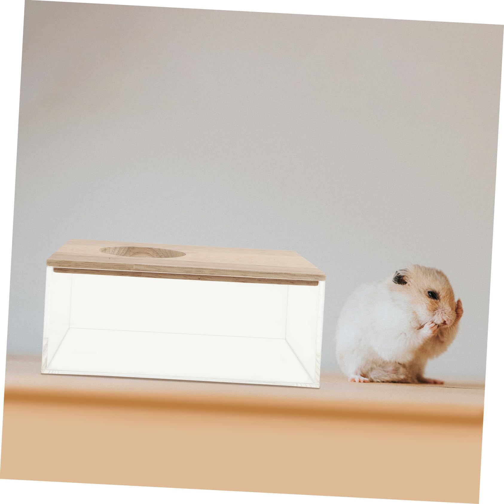 NOLITOY Hamsterbadewanne aus Acryl und Holz Transparente mit Glatter Oberfläche Sicheres Sandbad für Hamster und Meerschweinchen im Heim und Zoofachhandelsbereich