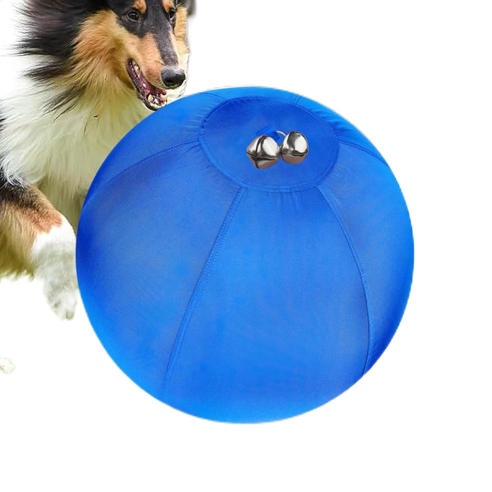 Boule de Berger pour Chien Compagnon Gonflable Anti-Ennui pour Animaux