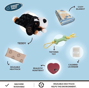 Teddy - Puppy Heartbeat Toy for Anxiety Relief with Reusable Heat Pack and Lavender, Sleep Aid for Dogs, Plush Comfort Toy for All Breads (Teddy Kit)