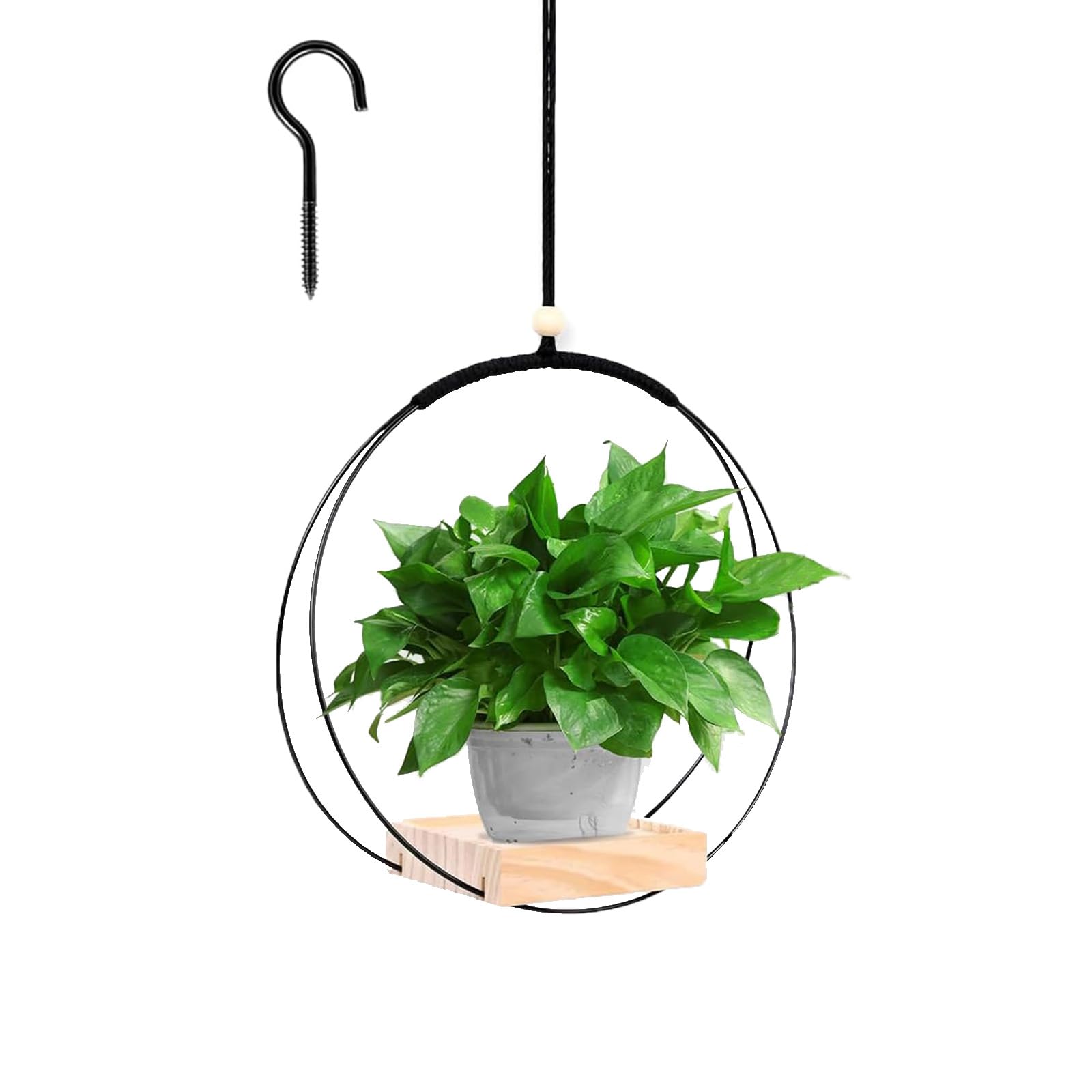 FENGCHUANG Blumenampel Hngend Innen, 30X30cm Decke Hngende Pflanzer,  Metallring mit Holzsockel Fr Zimmerpflanzen Sukkulenten Luftpflanzen  Kaktus (Schwarz): Amazon.de: Garten