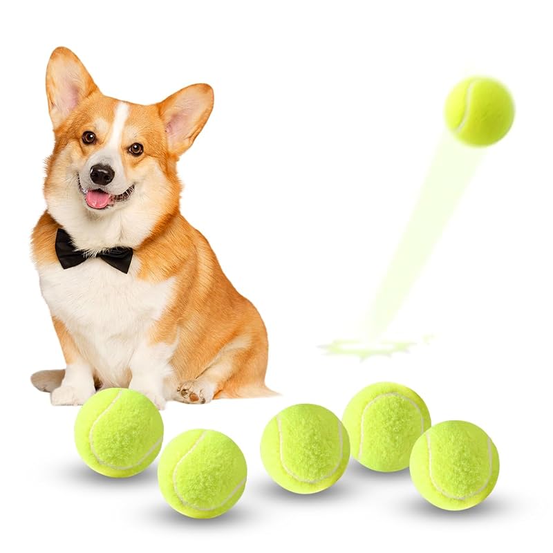 Bola de Tênis para Cães ZIYIZE Mini de Borracha Natural e Feltro, 6 Unidades