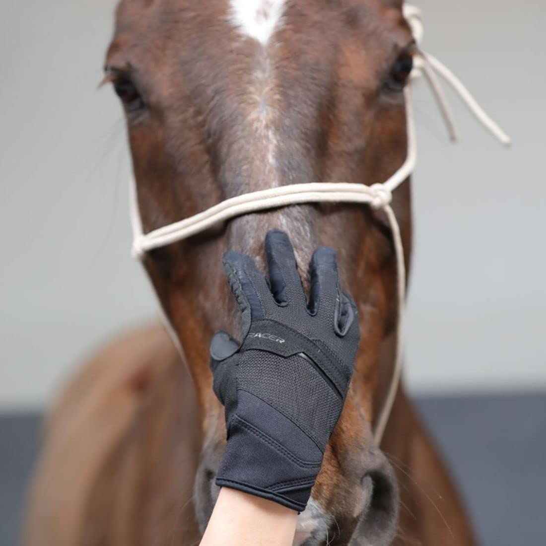 Racer - Evolution - GANTS Equitation
