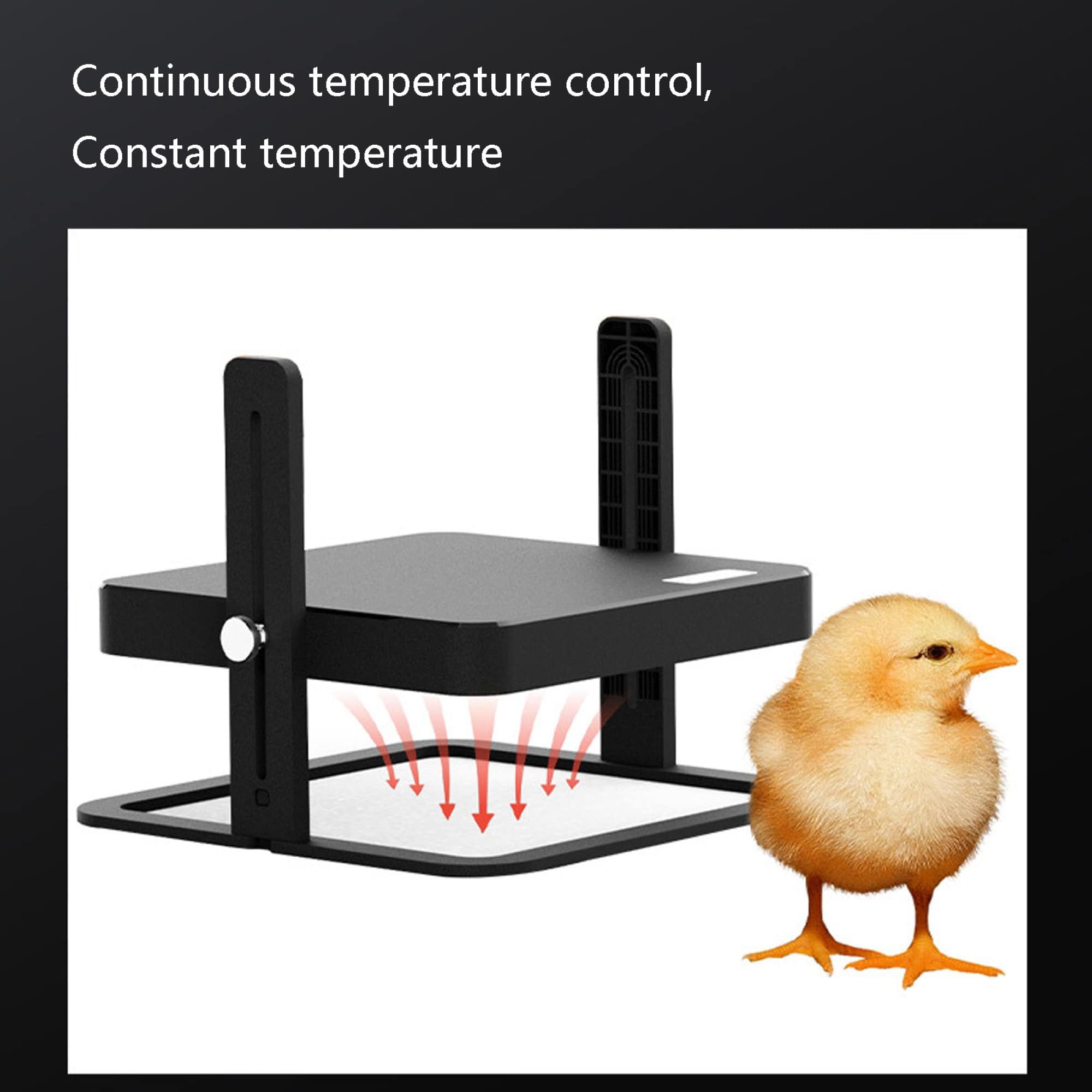 Calentador Para Criadora De Pollitos De 18 W, 10 × 10 Pulgadas, Placa Calefactora Radiante De 55 °c Con Altura Ajustable Para A 15 Pollitos Y Patitos