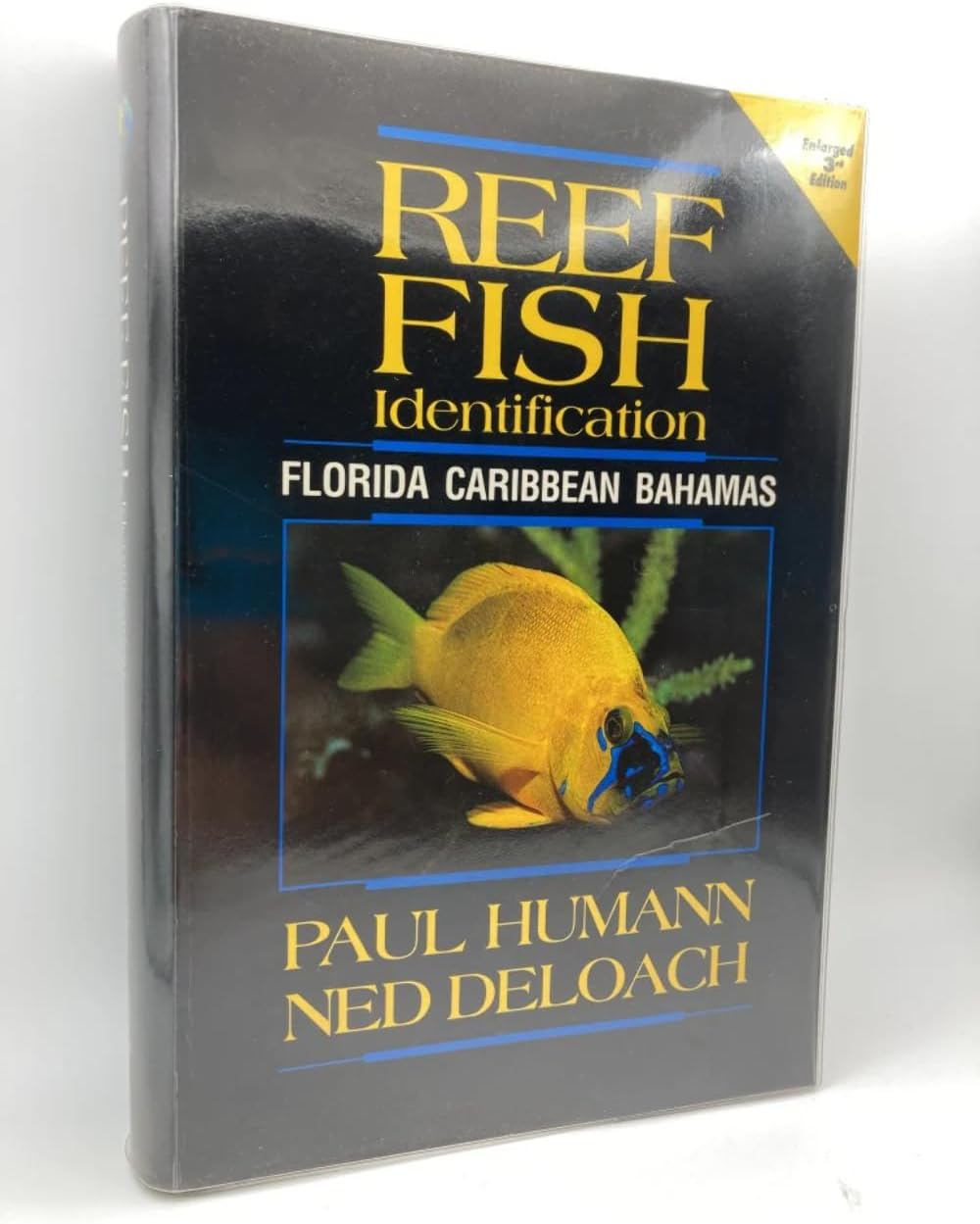 Reef Fish Identification: Florida, Caribbean, Bahamas