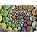 Ravensburger Krypt Inside The Riemann Sphere Jigsaw Puzzle Challenge (654-Piece)