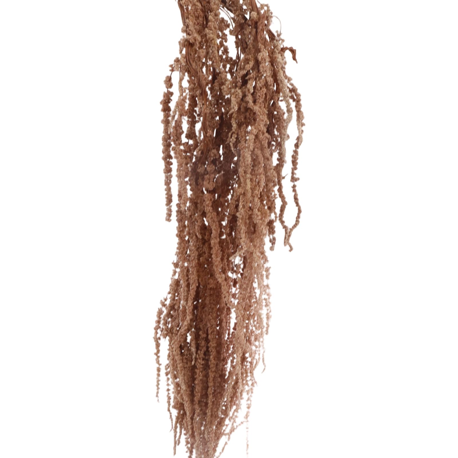 Tsophreniq Preserved Rice Stems Floral Arrangement for Table Centerpieces Wedding Reception Indoor Decoration 70cm Faux Rice Blossomy Display