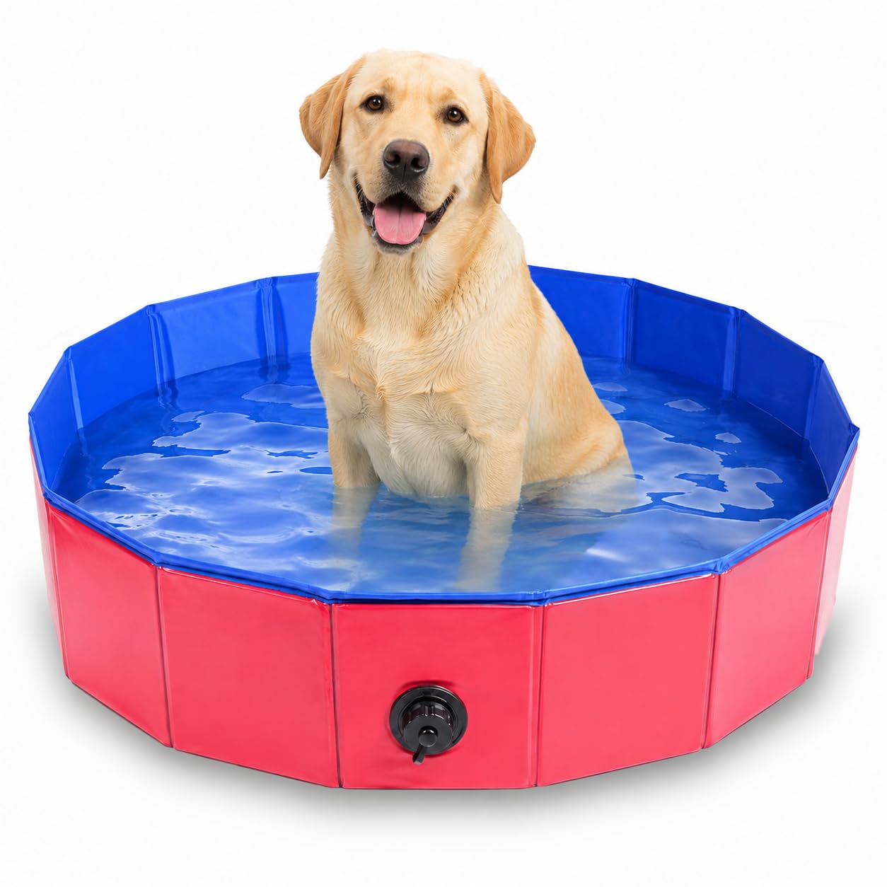 Piscina pieghevole per cani e gatti, piccola, 100 x 30 cm, robusta piscina per cani e gatti