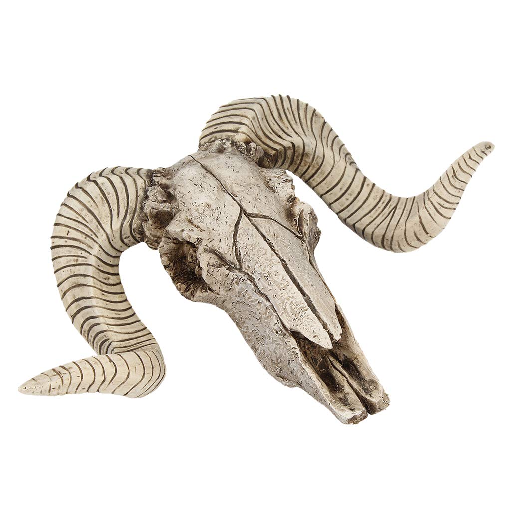 simhoa Retro Resin Craftwork Ram Sheep Head Skull Big Horns Wall Hanging Decor, White, 15.5x6x17.5cm