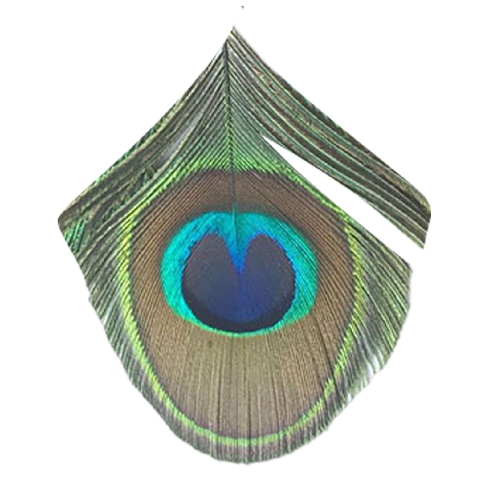 XINAJUND Peafowl for Hair Clip Clothing Making Kits Handcrafts Headbands Appliques Sewing Headwear Clothes Garments