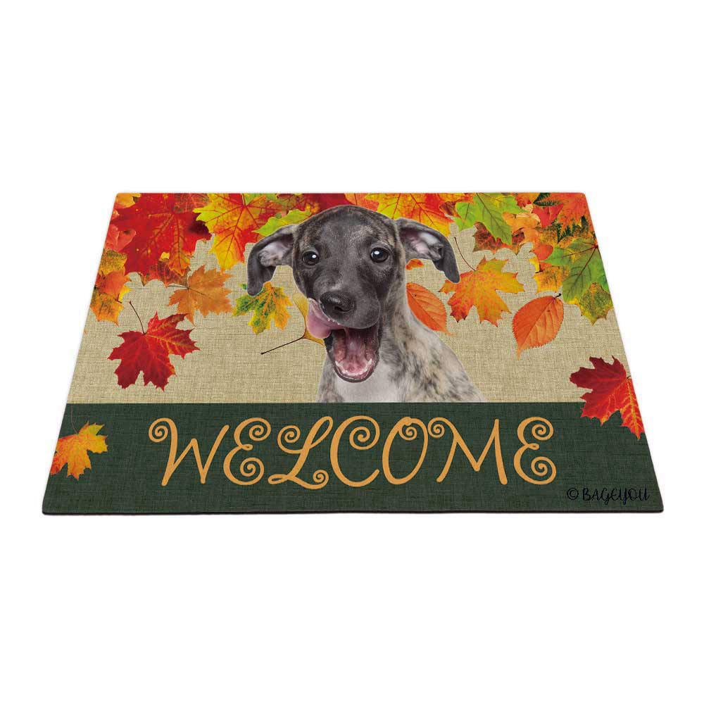 BAGEYOU Welcome Fall with My Favorite Dog Whippet Outdoor Doormat Maple Leaf Harvest Season Rustic Decor Porch Rugs Floor Mat 27.5" x 17.7"