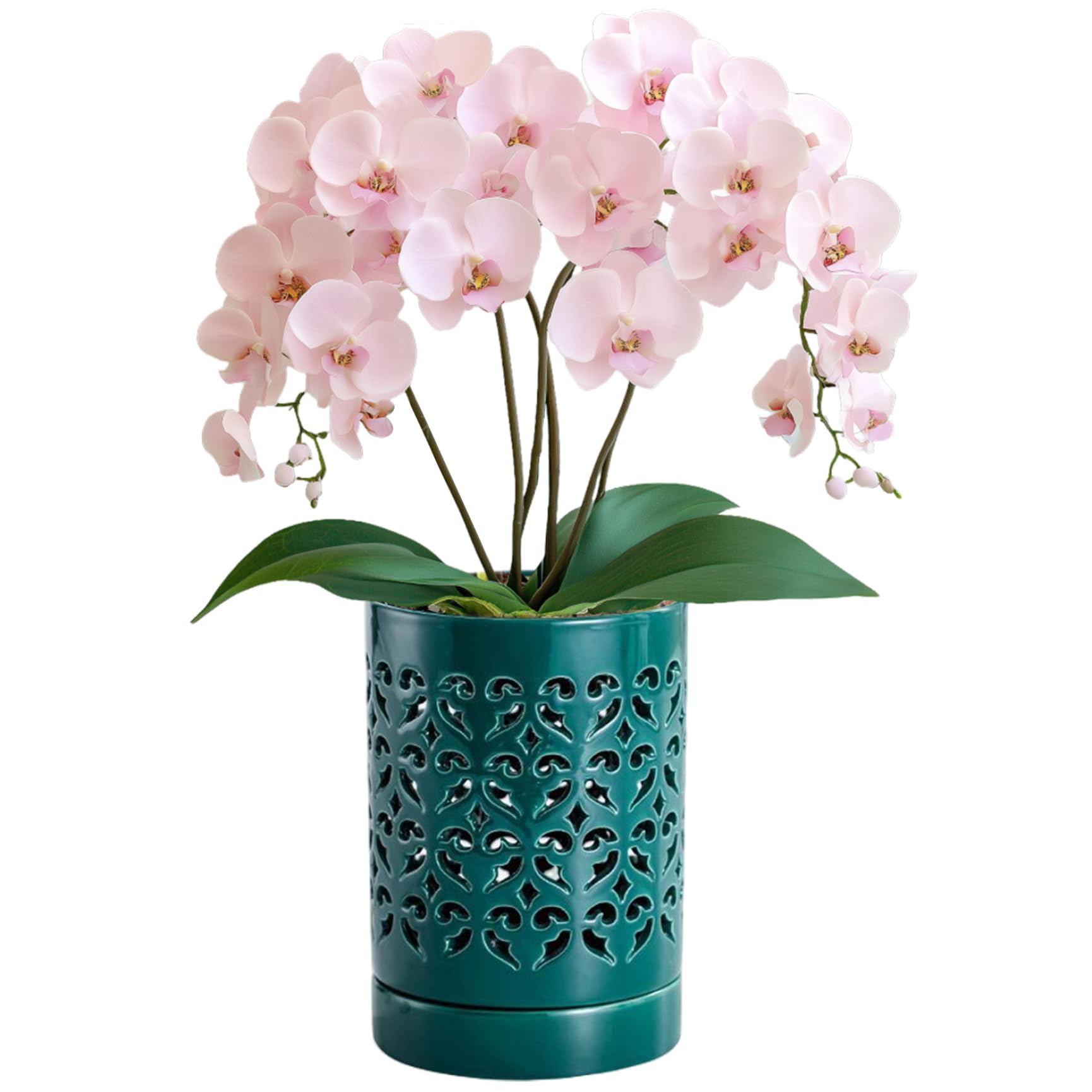 Pots d'orchidées avec trous pour stopper le pourrissement des racines