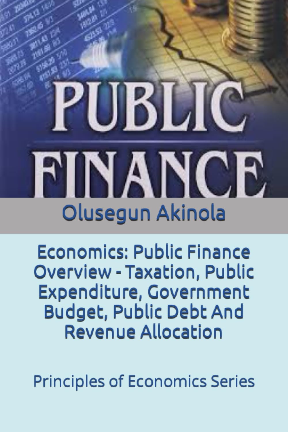 Economics: Public Finance Overview - Taxation, Public Expenditure, Government Budget, Public Debt And Revenue Allocation: Principles of Economics Series