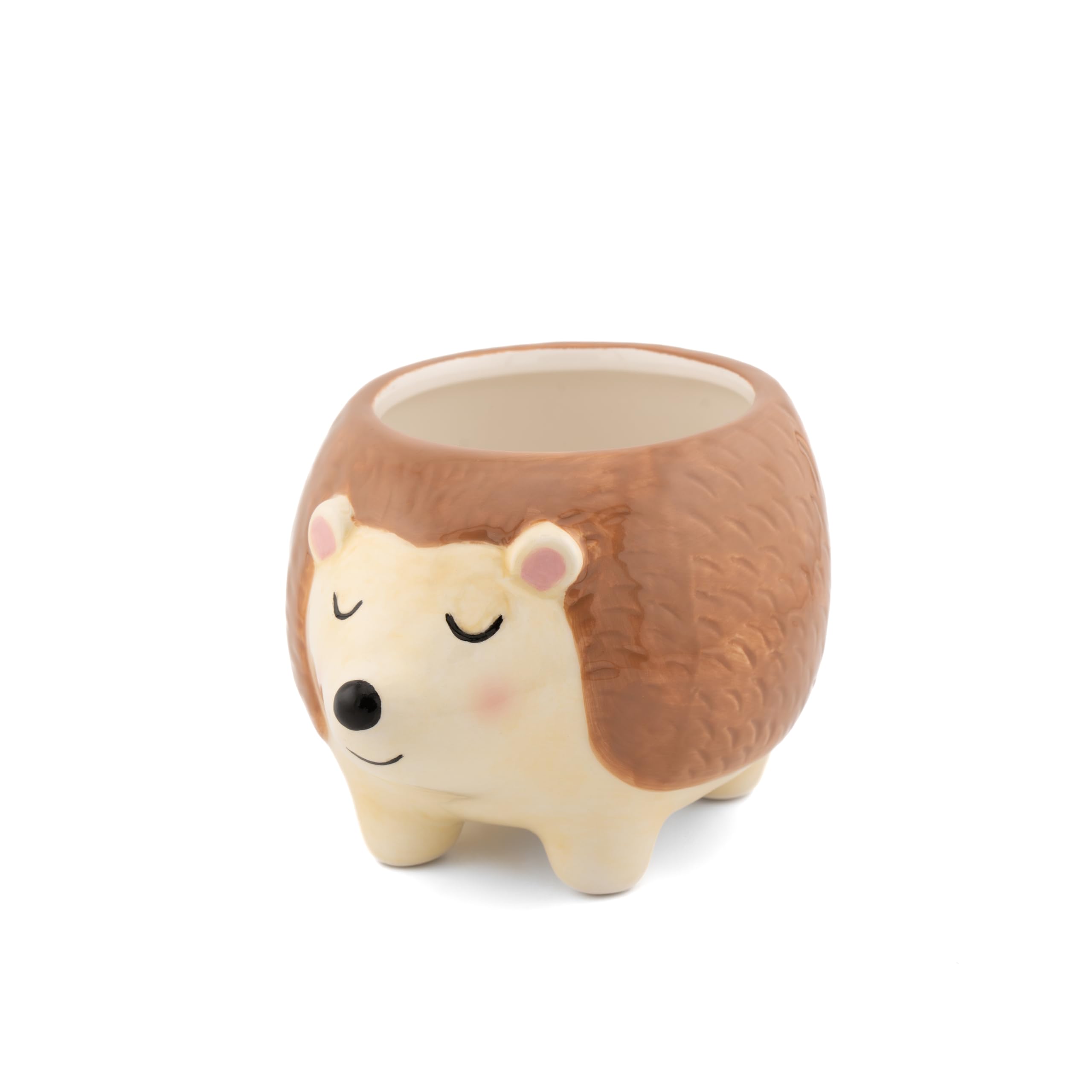 Sass & Belle Hedgehog Planter - Indoor Plant Pot, Animal Design for Cactus or Succulent, Ceramic Planter for Home Décor, Flower Pot Designed by Sass and Belle