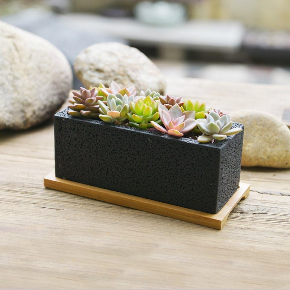 8.5 Inch Rectangle Planter with Bamboo Tray, Garden Pot/Cement Pot Planter/Succulent Black Pot/Mini Cactus Holder with a Removable Bamboo Saucer Tray