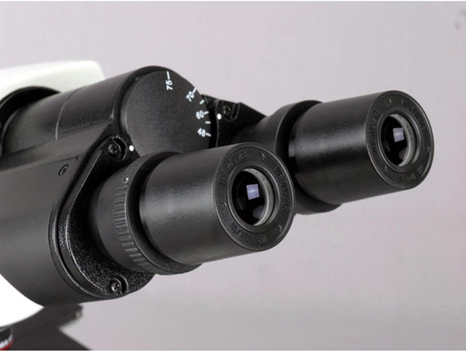 AmScope T340-DK-LED Siedentopf Trinocular Compound Microscope, 40X-1000X Magnification, Brightfield/Darkfield, WF10x Eyepieces, LED Illumination, Abbe Condenser, Double-Layer Mechanical Stage