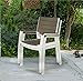 Keter Harmony Stackable Patio Chairs Set of 2 for Indoor and Outdoor Dining and Entertaining