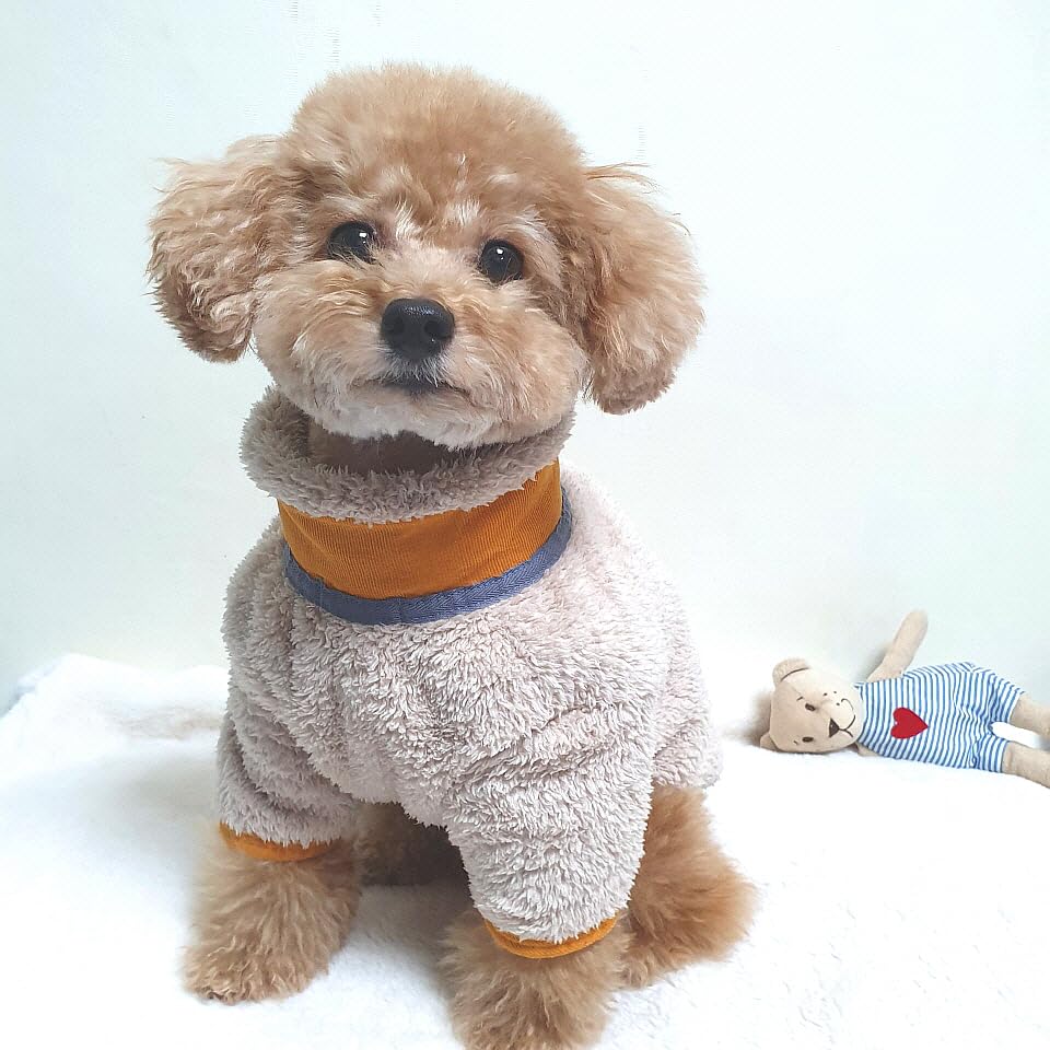 B447.pon2pan2☆犬☆オーダー☆ボルドー色のスモックワンピ B447.pon2pan2☆犬☆オーダー☆ボルドー色のスモックワンピ 犬 服