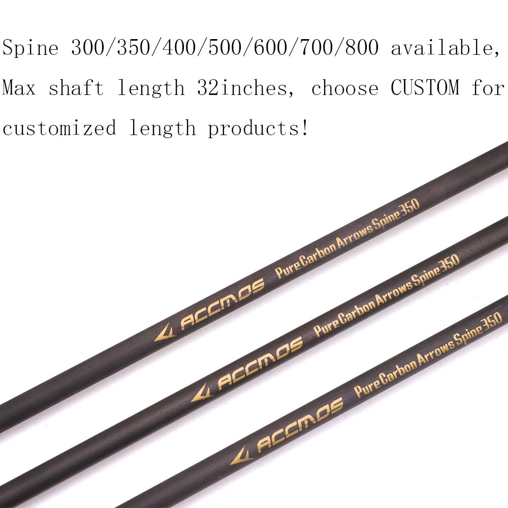 Flèches en Carbone 300-800 Spine Pointe Amovible 2" Plume Plastique pour Arc Recurve Arc à Poulies Tir à l’Arc