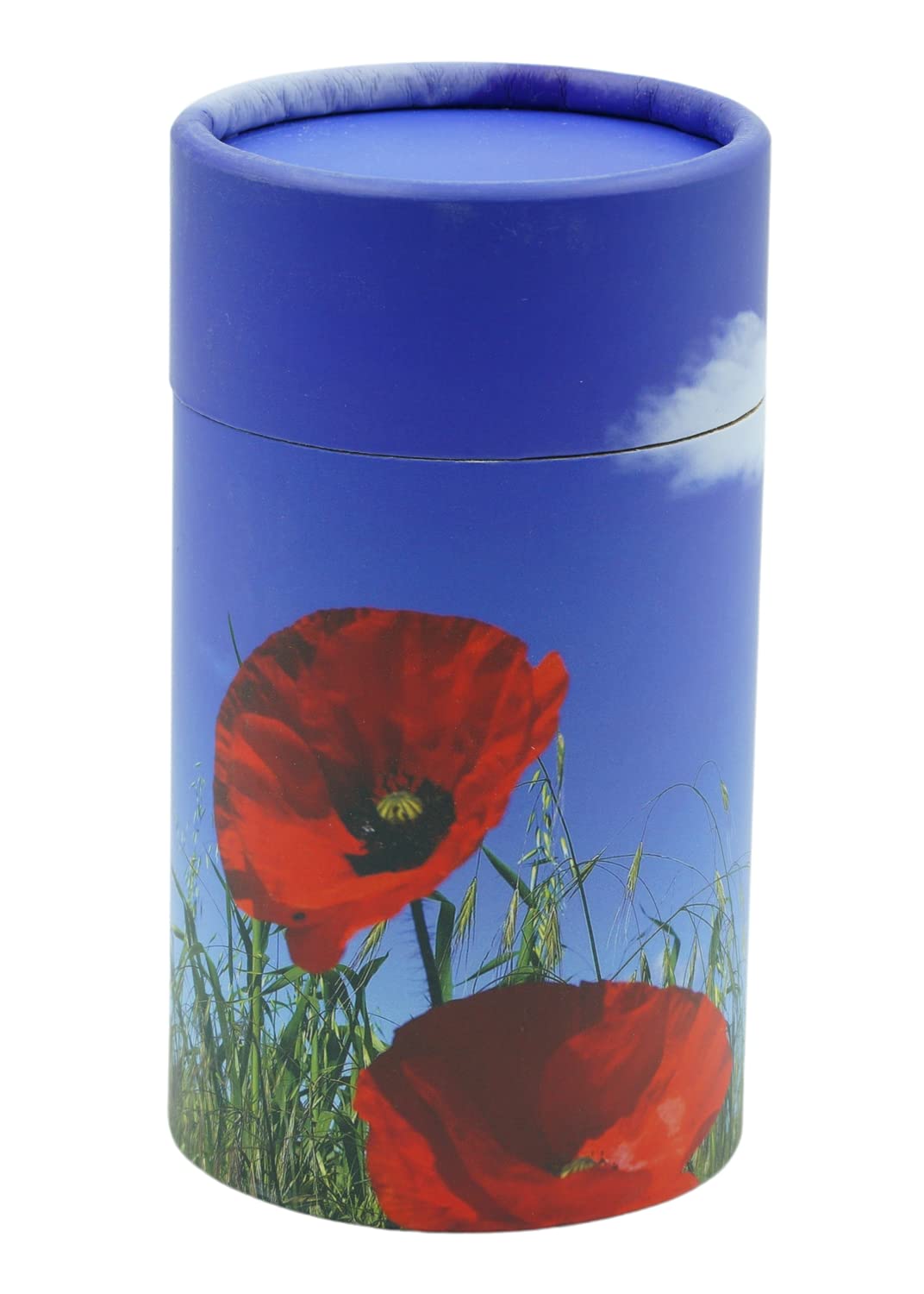 Casket Depot Biodegradable and Environmentally Friendly urn, Scattering Urns for Human Ashes (Mini Memento)