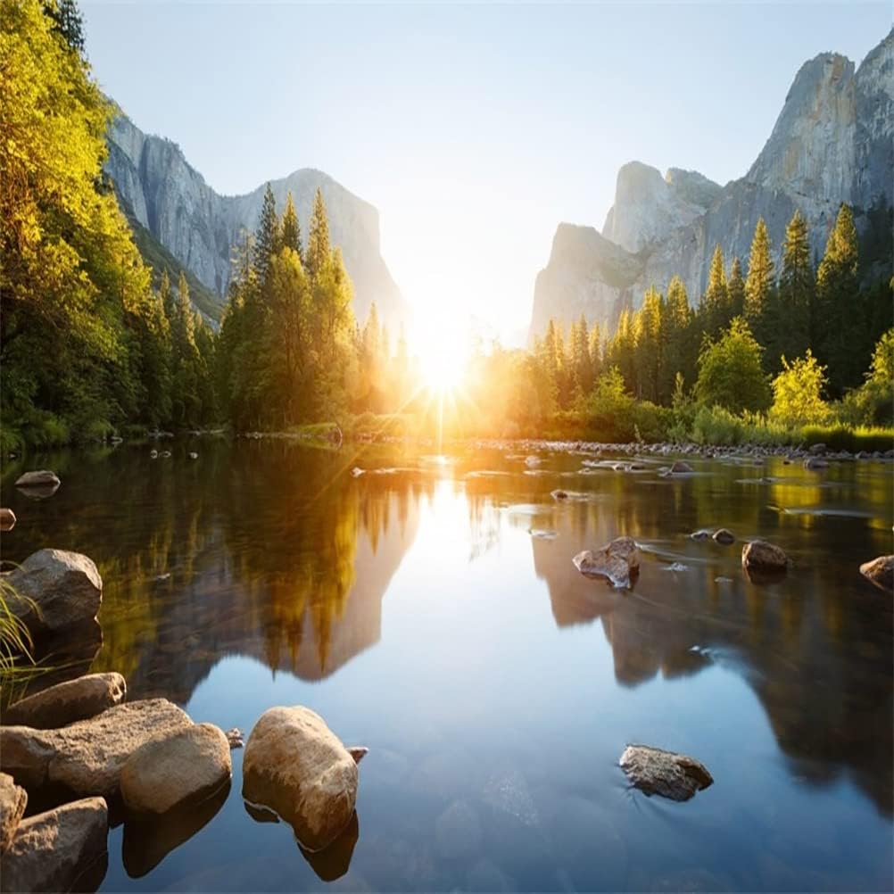 AOFOTO 10x10ft Nature Mountain Forest Backdrop Valley Sunrise Landscape Photography Background Pine Tree River Natural Park Lake Scenic Outdoor Hiking Camping Vinyl Wallpaper Portrait Photoshoot Prop