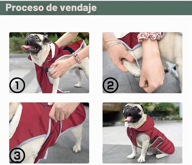 Foto 6 de 7 de Etechydra Impermeable Chaqueta Abrigada para Perros, Reflectante Abrigo para Perro con Sombrero Desmontable
