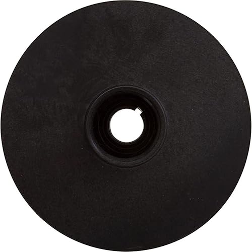 Miniatura 4 de Pentair Bomba de repuesto para piscina y spa J105-76P