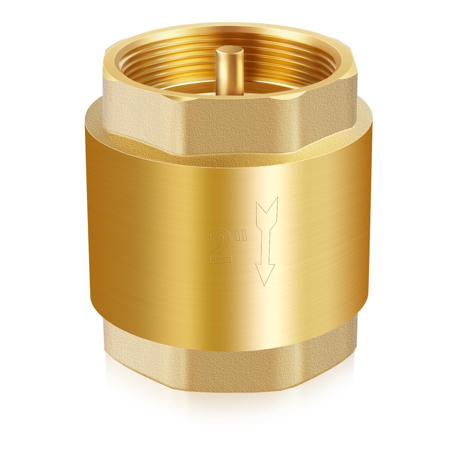 Boltigen Solid Brass Spring Check Valve 2 Inch NPT