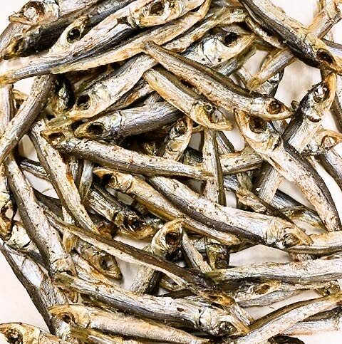 Ă 300g Y ăE ߃tC ߂킵 ۊ [Xg Ɩp ̍ ܂  Wbp[ܓ