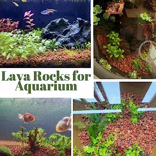 18LB Red Lava Rocks for Plants, Volcanic Rock Horticultural Lava Rock Soil for Landscaping Plants Drainage, Small Lava Rock Gravel for Succulents, Bonsai, Vase Fillers, Terrarium Plants, Top Dressing