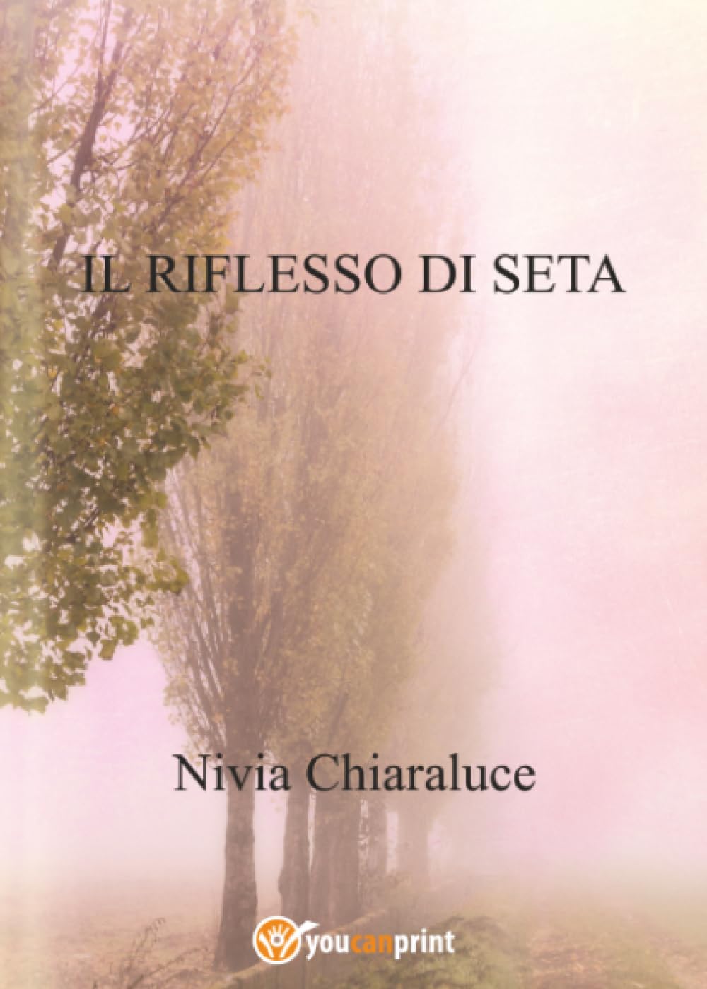Il riflesso di seta