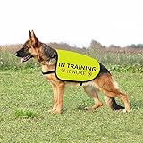 Training Hundejacke Weste Ignorieren Hundeweste Hund Walking Slogan Warnweste (in Training Ignorieren-Large)
