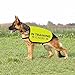 Training Hundejacke Weste Ignorieren Hundeweste Hund Walking Slogan Warnweste (in Training Ignorieren-Large)
