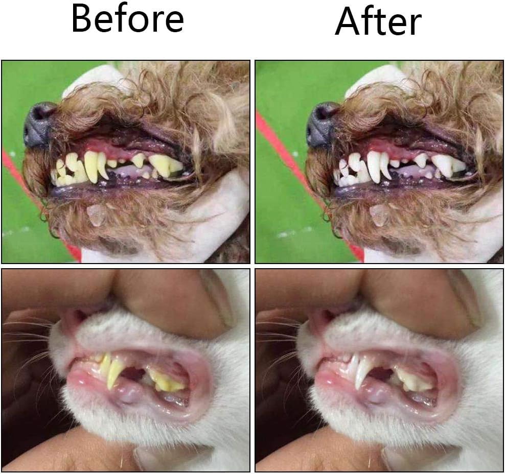 Image of 360º Dog Toothbrush Set, Cat Toothbrush, Dog Dental Cleaning, Dog Finger Toothbrush, Large and Small Pet Dog Toothbrush, Dog Toothpaste Not Included, 8-Piece Pet Nail Trimmer and Nail File Set