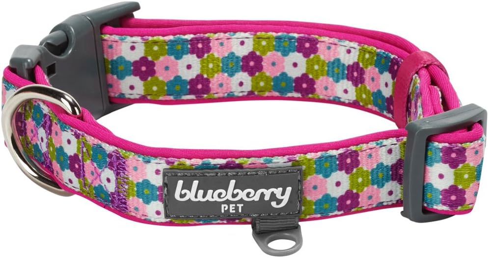 Blueberry Pet 6 Patterns Soft & Comfy Endless Spring Floral Print Designer Padded Dog Collar, Small, Neck 12"-16", Adjustable Collars…
