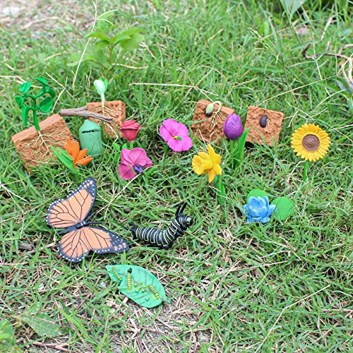 Bretoyin 16Pcs Life Cycle Of Plants Figure Butterfly Figurines Realistic Flower Toys Set For Toddlers Age 3+ Educational Project Diorama Kids Toys For Preschool Children #TOP3